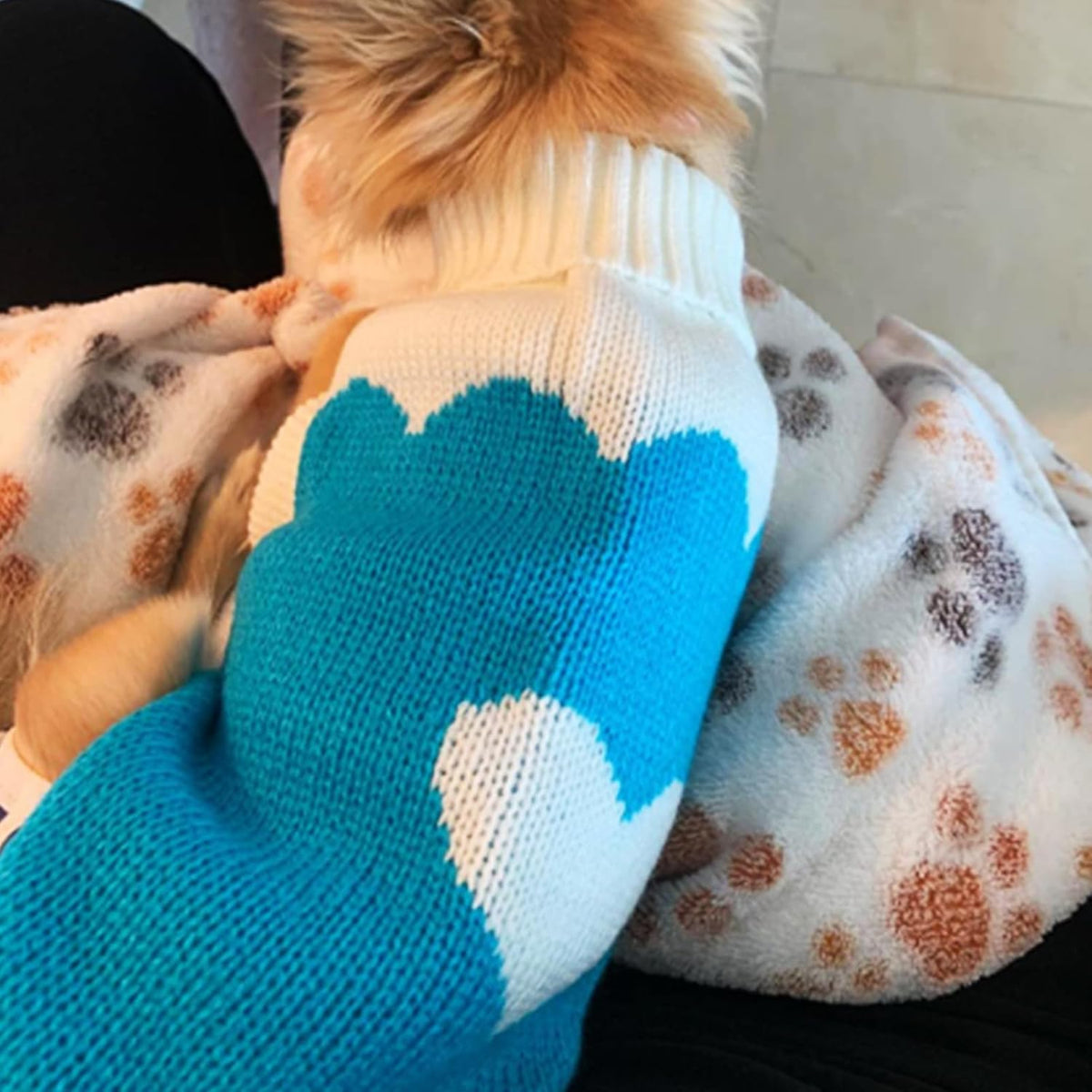 Classic Knit Turtleneck Dog Sweater - Winter Warmth for Pets