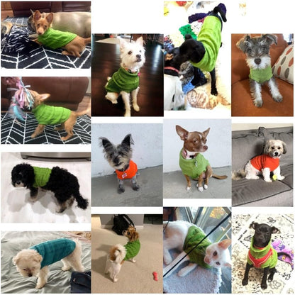 Knitted Turtleneck Pullover Sweater for Small Dogs - Warm Winter Apparel