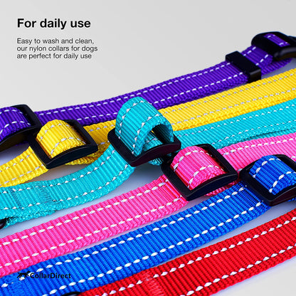 Reflective Dog Collar with Quick-Release Buckle - Orange, 10-13 Inches