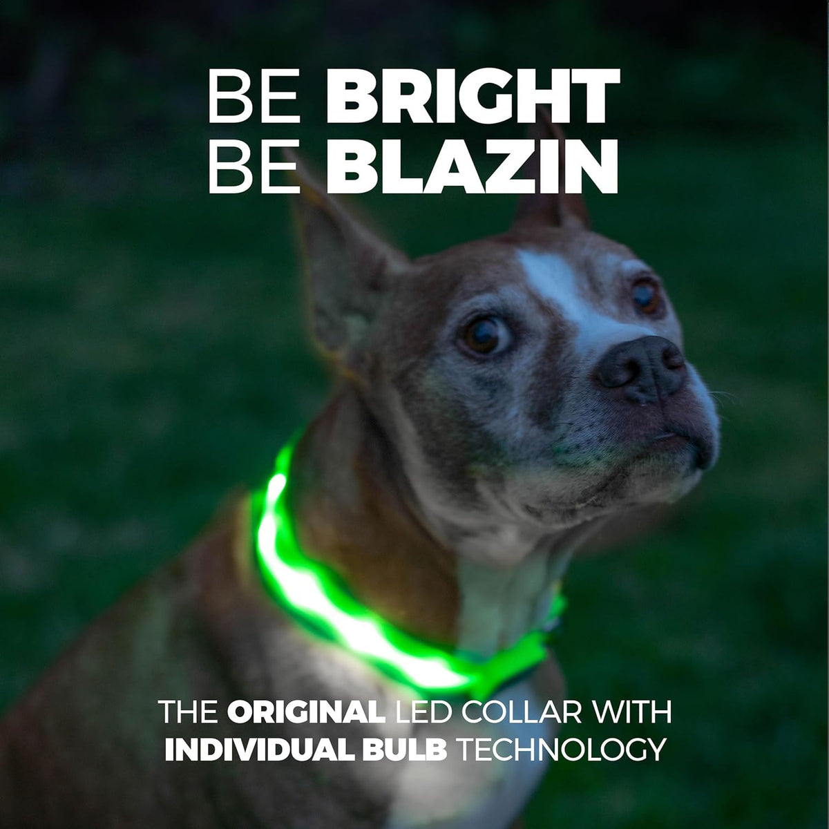 LED Dog Collar - Original USB Rechargeable & Waterproof - 1,000 Feet Visibility - Suitable for Small, Medium, and Large Dogs - USA Brand