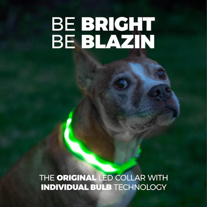 LED Dog Collar - Original USB Rechargeable & Waterproof - 1,000 Feet Visibility - Suitable for Small, Medium, and Large Dogs - USA Brand