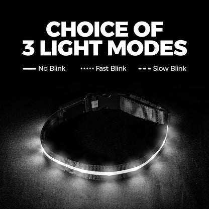 LED Dog Collar - Original USB Rechargeable & Waterproof - 1,000 Feet Visibility - Suitable for Small, Medium, and Large Dogs - USA Brand