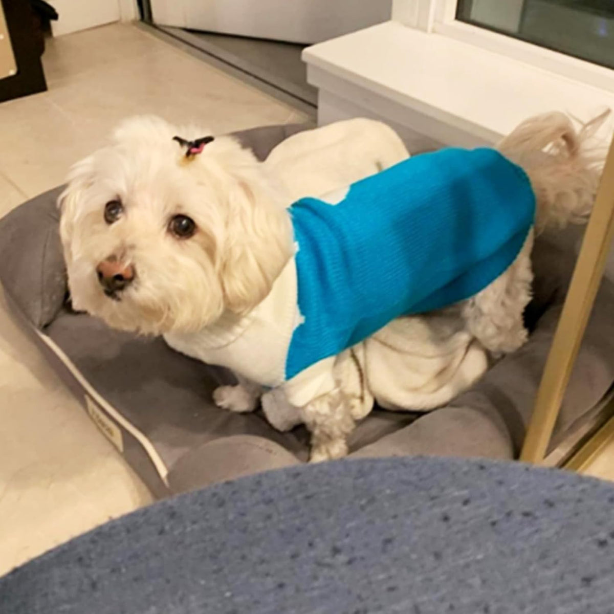Classic Knit Turtleneck Dog Sweater - Winter Warmth for Pets