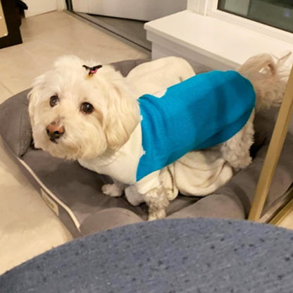 Classic Knit Turtleneck Dog Sweater - Winter Warmth for Pets