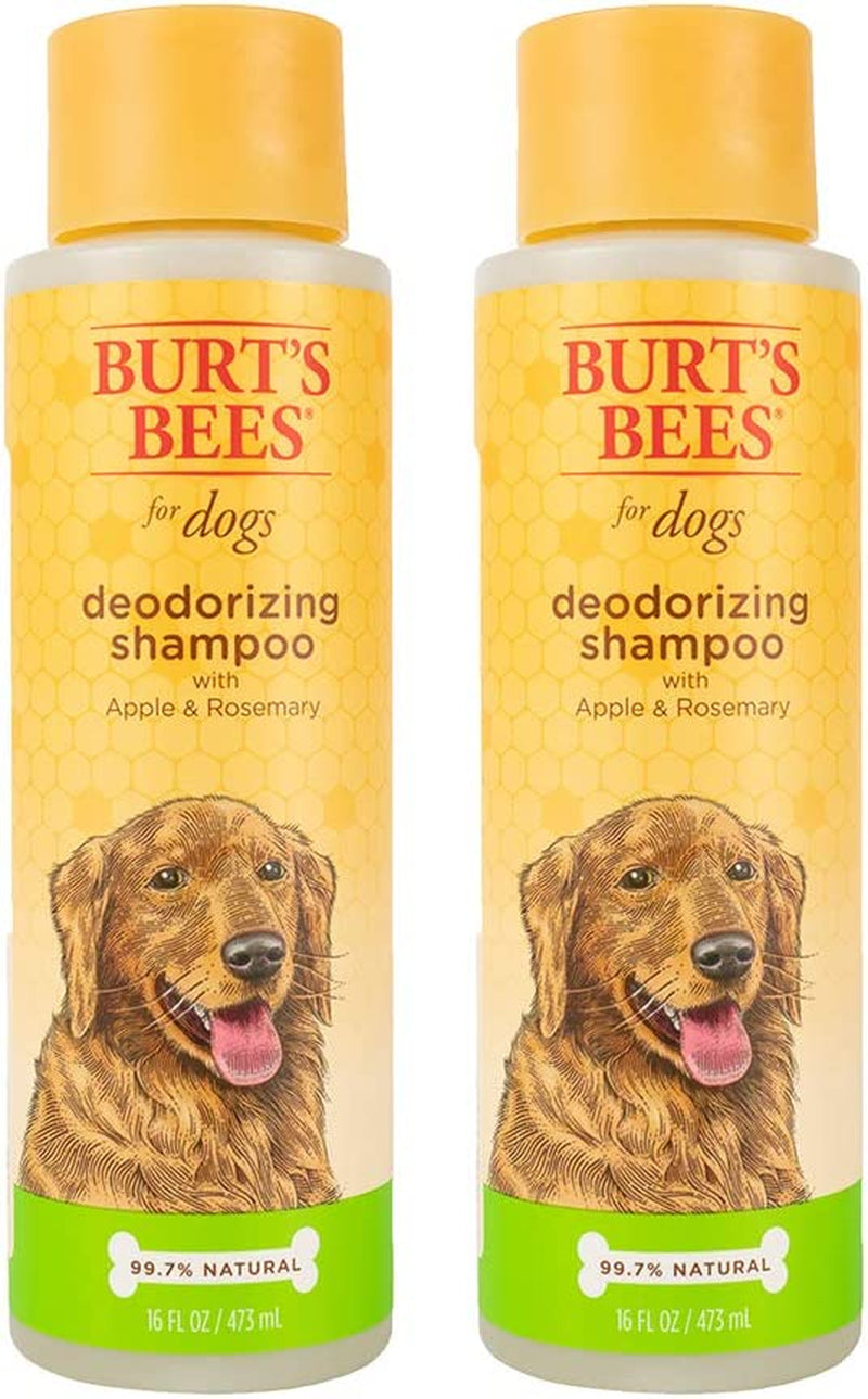 Deodorizing Dog Shampoo, Apple & Rosemary, 16 Oz, 2-Pk