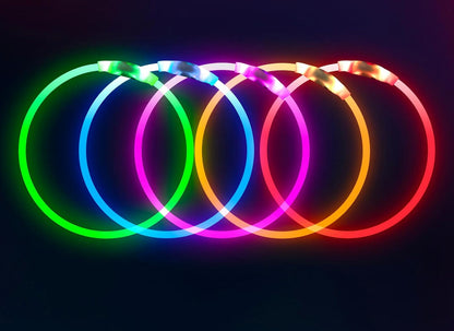 Light up Dog Collar,  USB Rechargeable Led Flash Dog Necklace