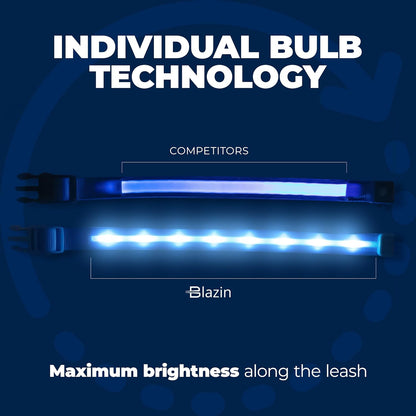 LED Dog Collar - Original USB Rechargeable & Waterproof - 1,000 Feet Visibility - Suitable for Small, Medium, and Large Dogs - USA Brand