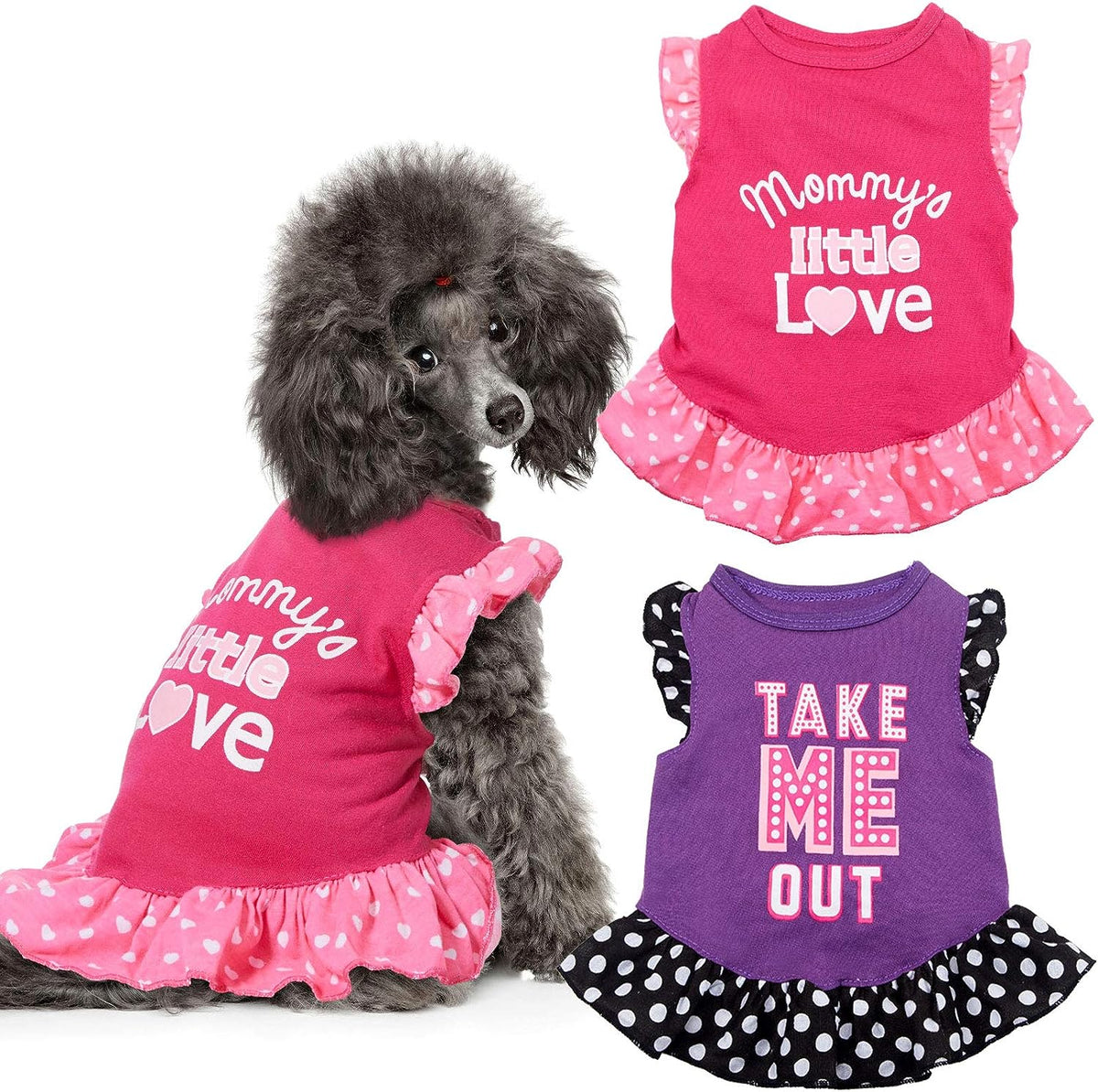 2-Piece Cute Dog Dresses for Female Pets - Summer Apparel for Dogs and Cats (Love and Me, X-Small)