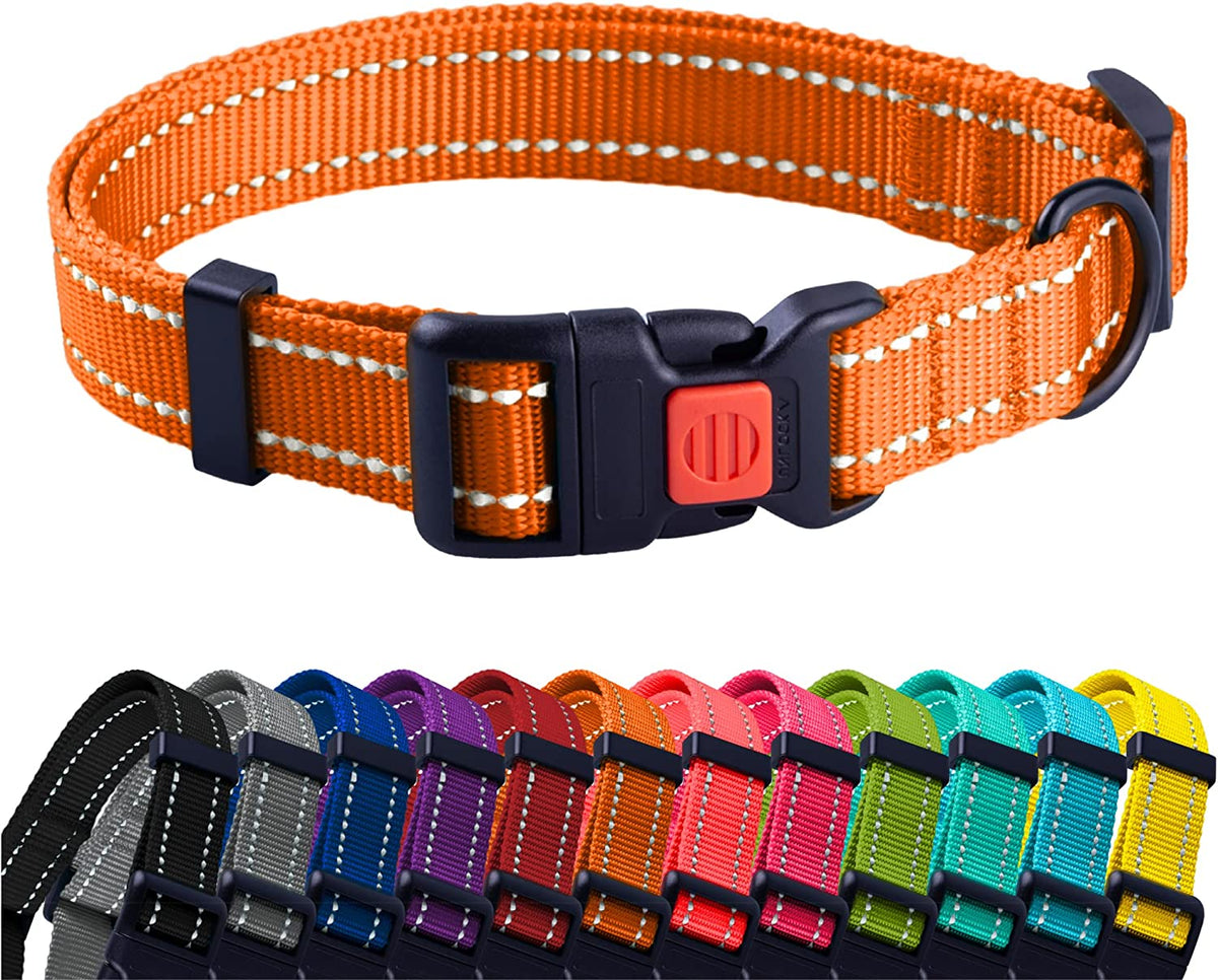 Reflective Dog Collar with Quick-Release Buckle - Orange, 10-13 Inches