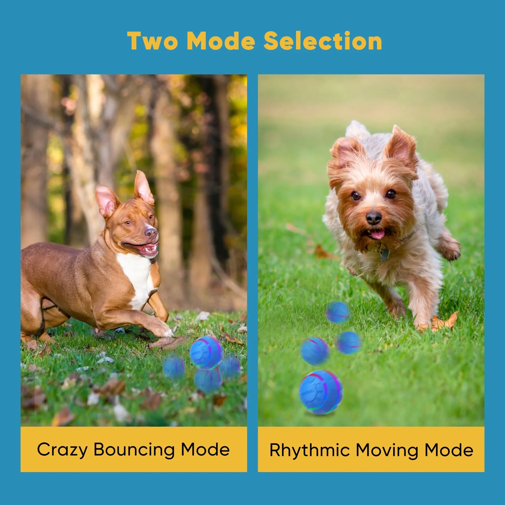 Interactive LED Dog Ball - Rechargeable Active Rolling Toy for Medium to Large Dogs, Blue